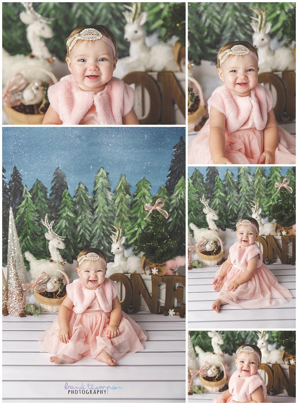first birthday cake smash with winter theme and touches of pink, with baby girl in pink dress, plano, tx studio