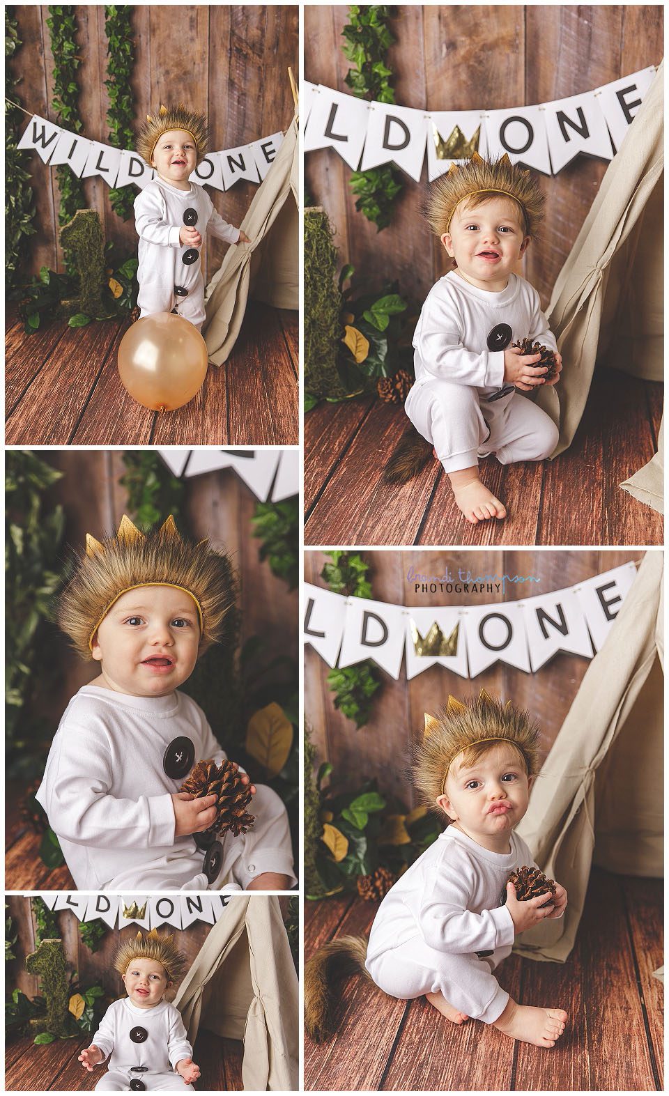 where the wild things are themed cake smash with one year old boy in white outfit with crown and wood backdrop