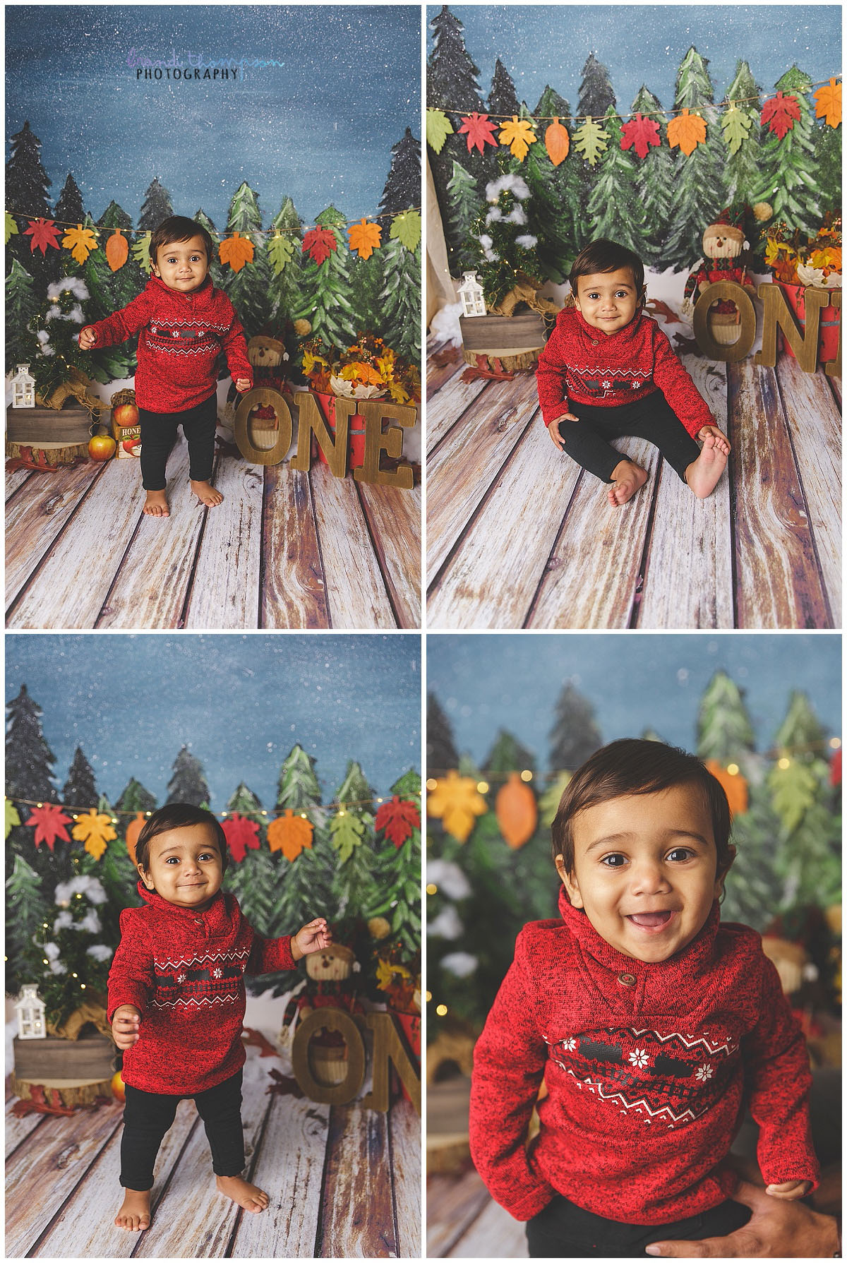 collage of photos of a south Asian baby boy in a fall tree themed photo set. He is wearing a red sweater and black pants